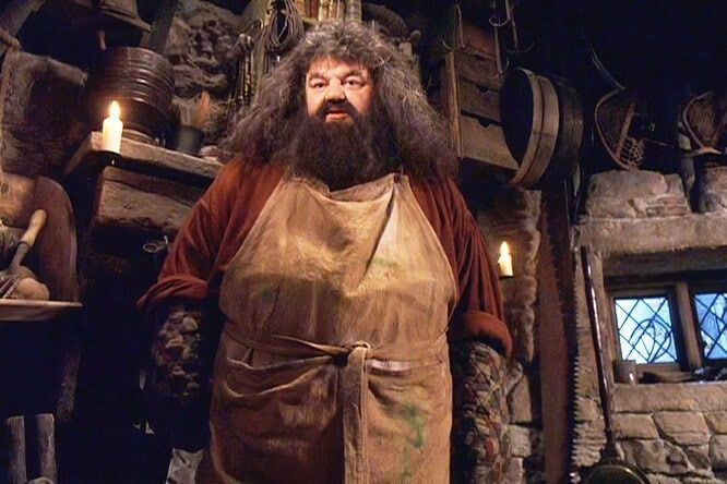 ���� ����� ��������, �������� ������� � "����� �������"