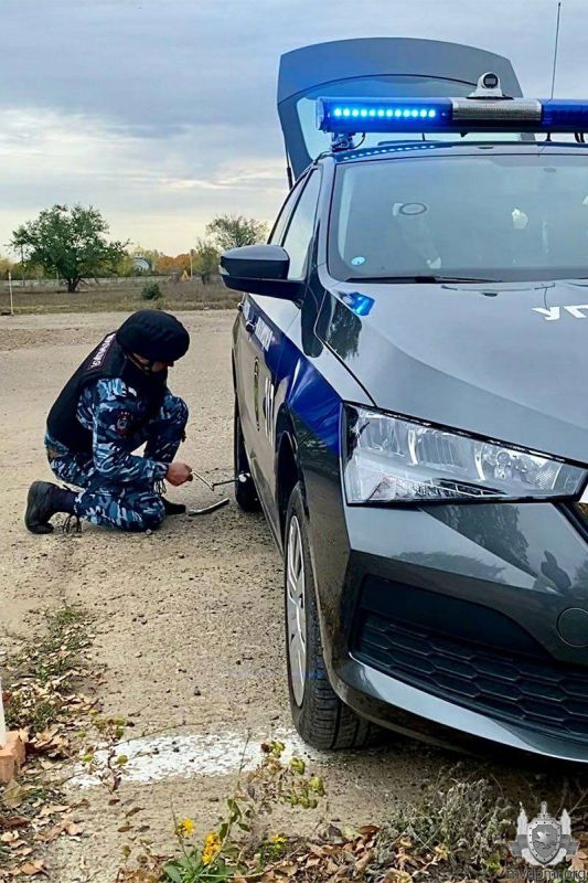 ������ �������� ���. � �������, 13 �������, �������� ���������������� ������ ������������� � ���������� ��������������