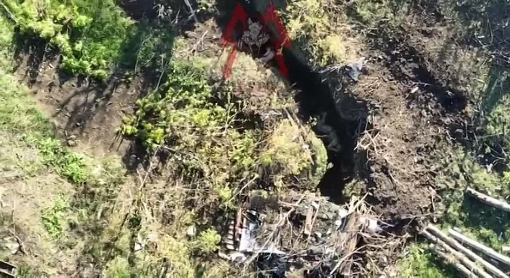 ������� ������������ �������� �� ���������� ��������