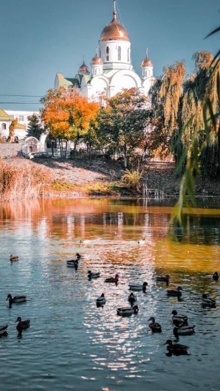 � ��������� ��������� ������� ���� ���� � � ������ ���� �� ����� �� ������