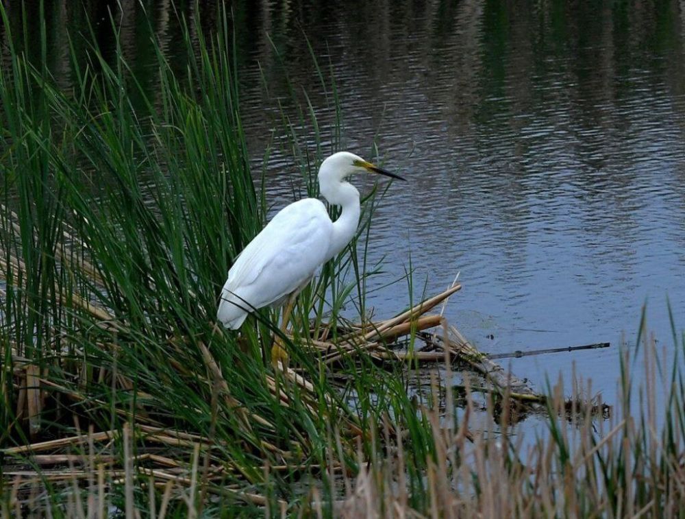 �������� ������������ (���������� �� ������� � ������������ ��������) ����� ���������� � ����� ���� ����� ����������� �� ����� ����� ������