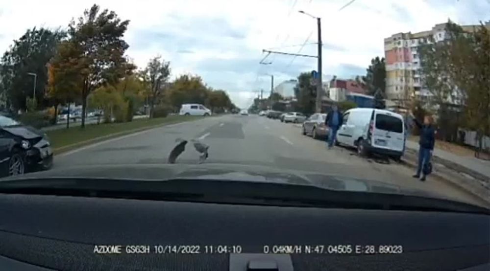 � �������� �������� ����� ������� �������� �� ���� � �������� � �������������� ����������