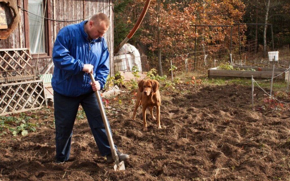 � ������� ������ ��� ������, ��� ��������� ����� ������� �� �����, � ����� ��� ����������� �������� ������� � �������, � ���������� ������� ��� ���� ��, � �������