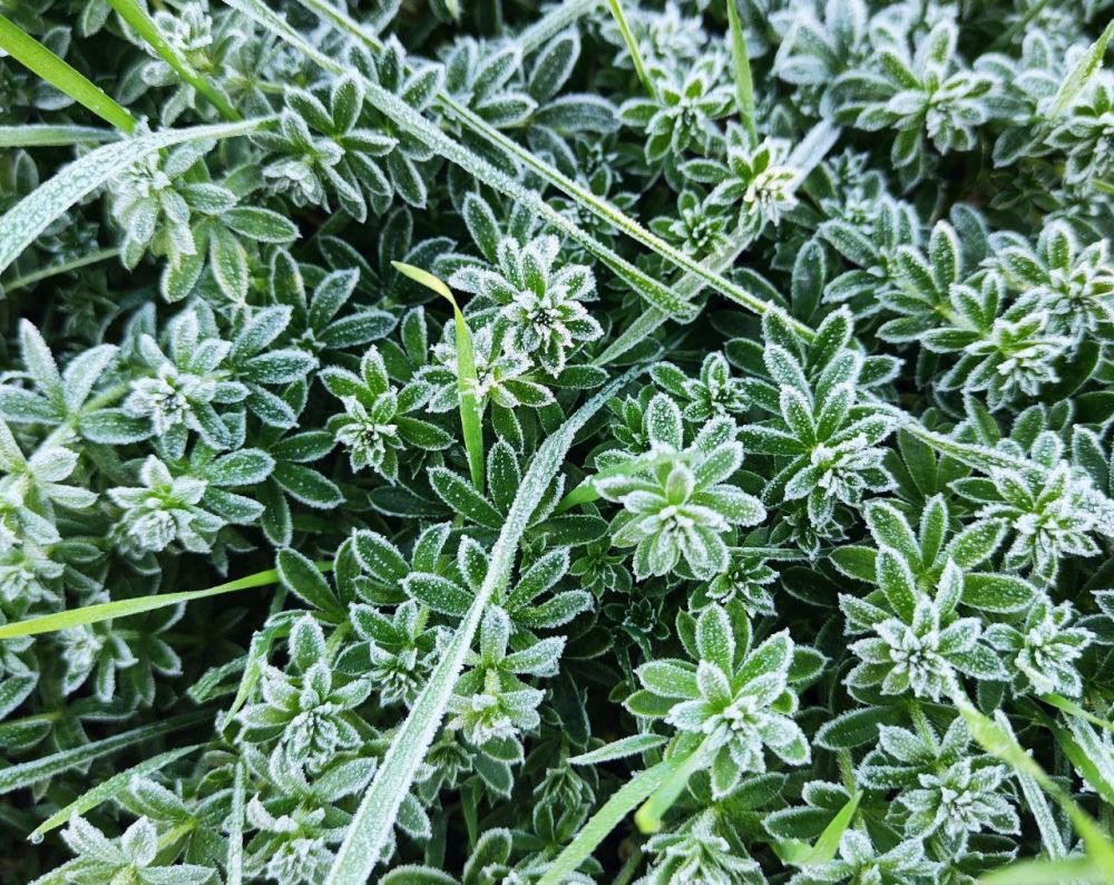 ����������� ���� � ������� ���� ��������