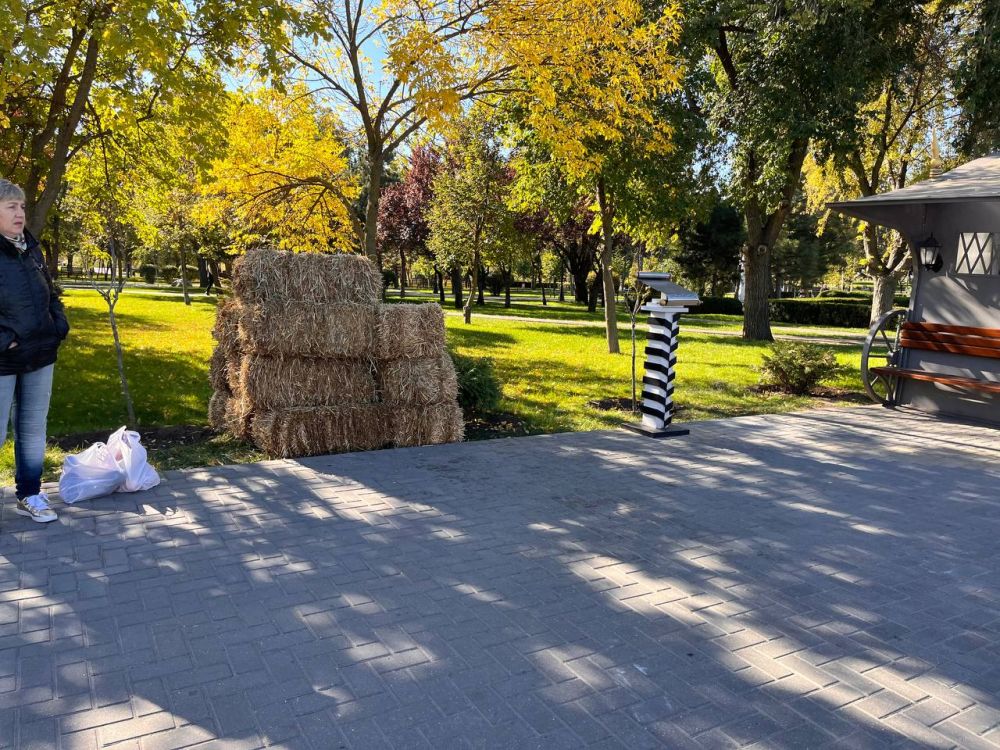 ���� ����, �������� ���� � ����������� ����������������