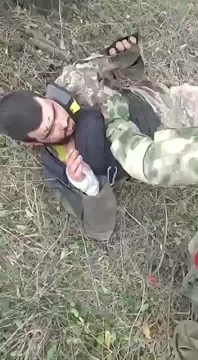 ��������� ����� � ���� ��������