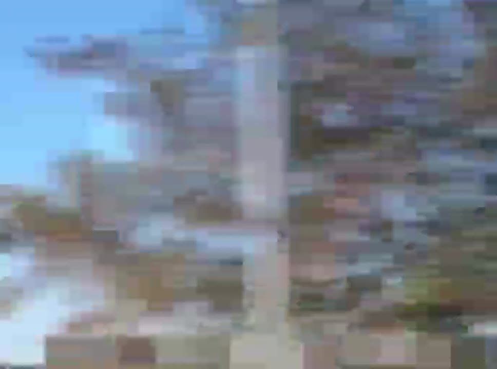 ���������� ������ ��������� � ������ ������� � ��������