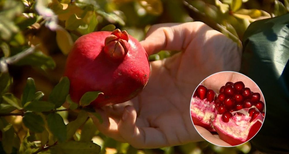 ������� ���������� � ������������ ���� ���������