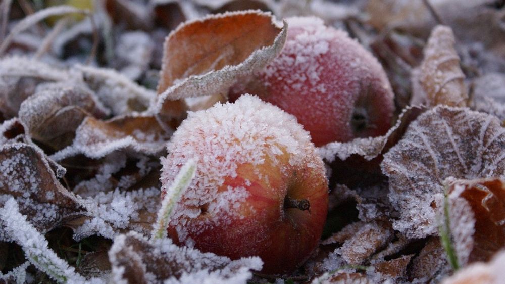 ���������� �����, ������� �� ������� ������� ��� ���: � ������� ������ ��������� ��������� �� ����� 3, � ������ �����