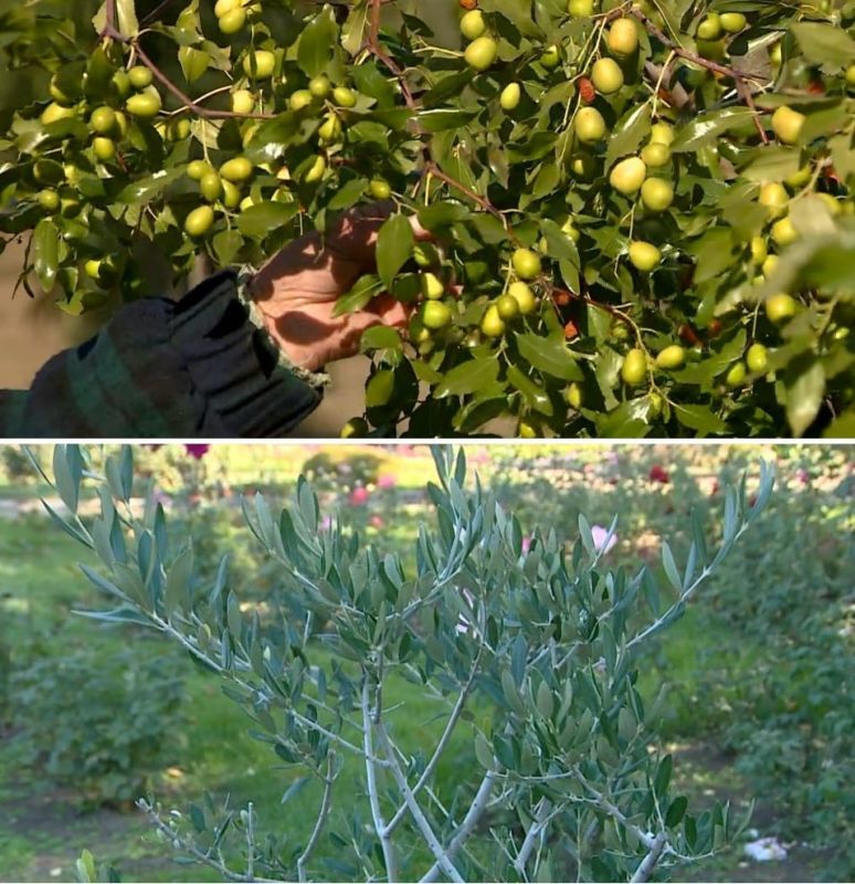 � ����� ������������ ���� ����� ���������� ������, ����� � �������� ������