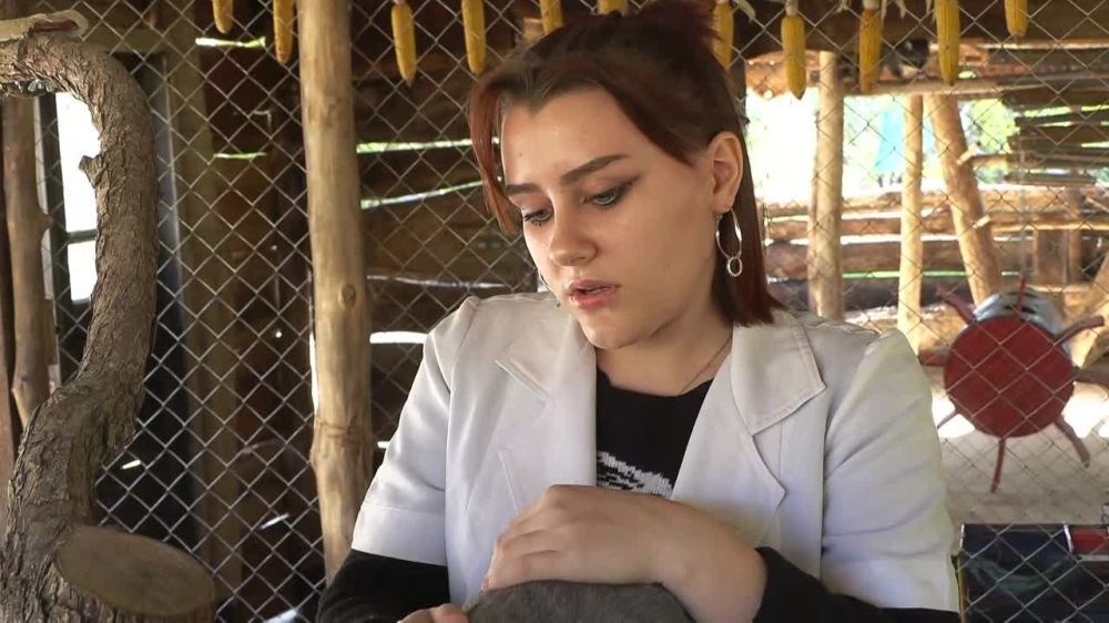 ������� � ������� ���������