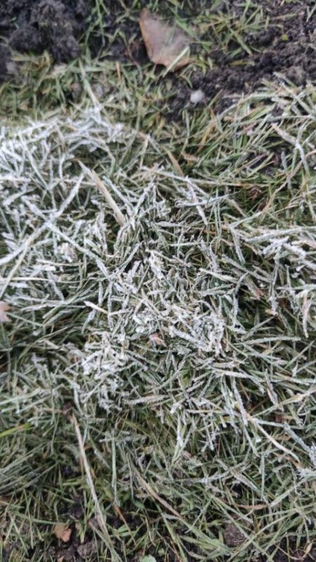 �� ����� ��� ����