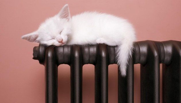 ��������� ���������� �����