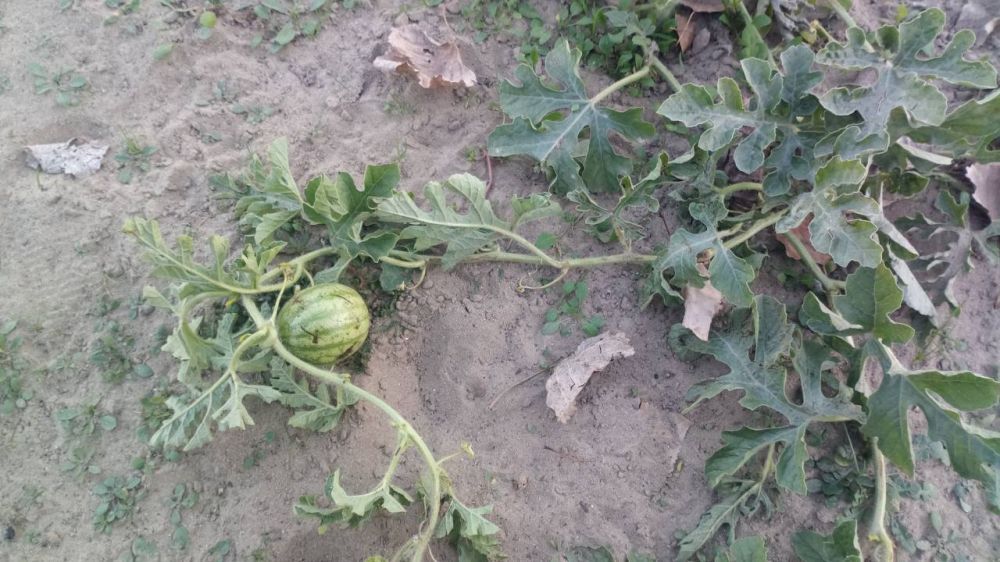 �� ��������� �������. � �� ��������� ����� ����� �����