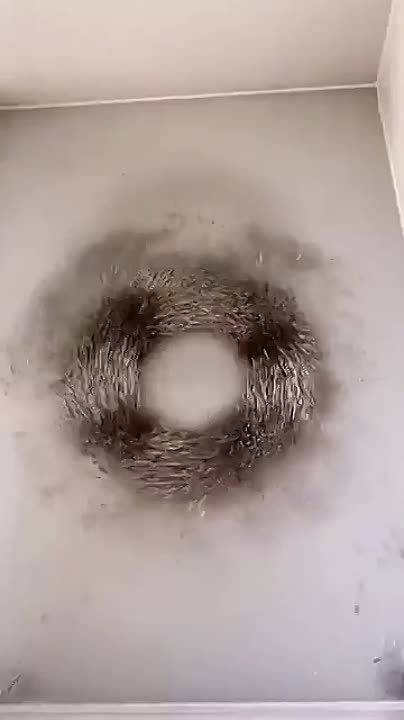 ��� ��������� ����, ������� �������� ��������� ��������� �������������� ������ �� ������������� ������