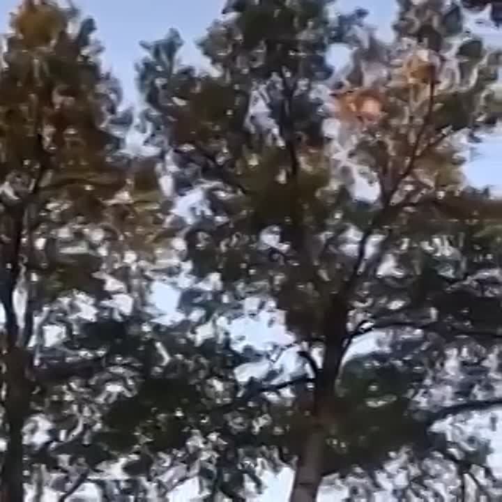 ����� ����������� ������������ �������-2� ��� �������� �������� � ������� ������� ������� ����� ��� �� ���������