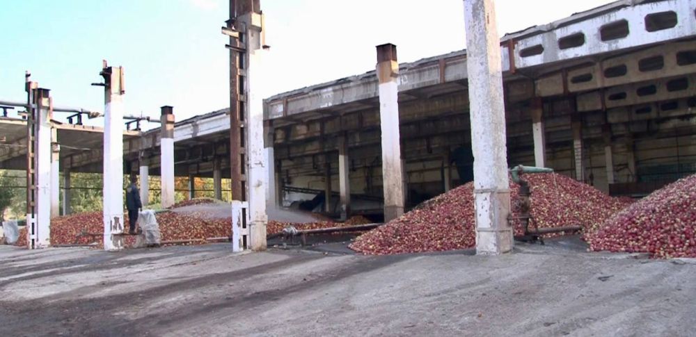 ��������� ��� � ��� �������, �������� � �������