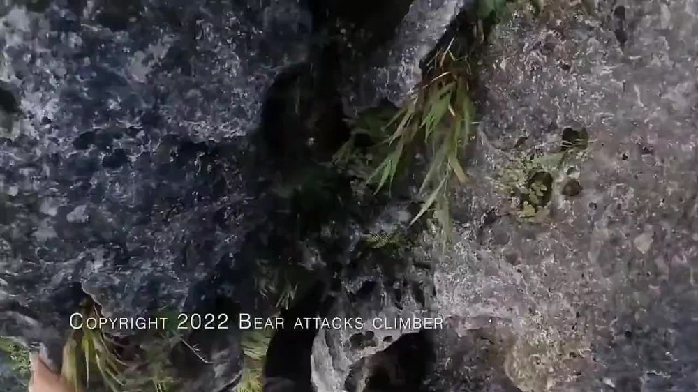 ����������� ���-�� ����� � �������