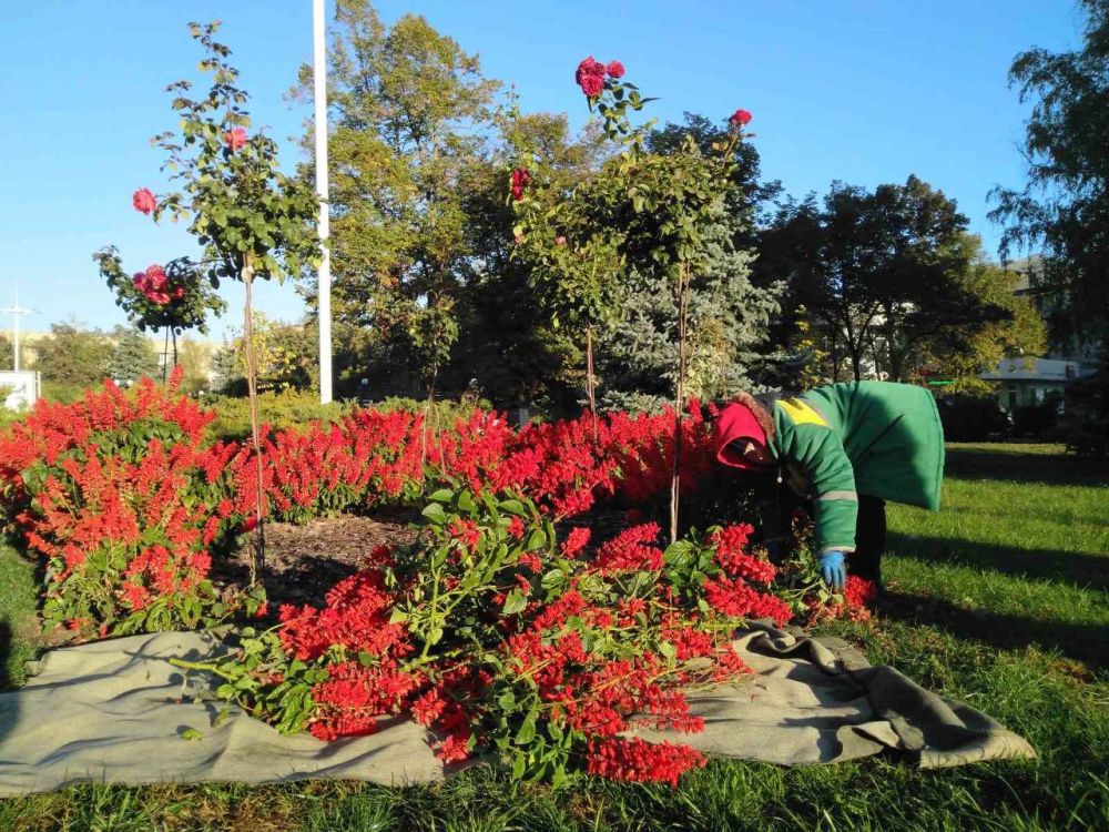 ����� ������� ����� �������� ��� ������� ��������� �� ��������� �������, �� ������ ��������� ����� ��������� ������� ��� ��������, ������� �� �������