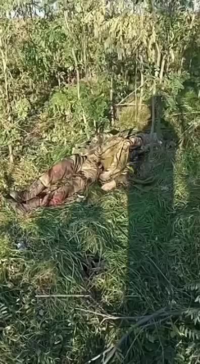 ���������� ������ ������������ ���� ���������� ��������