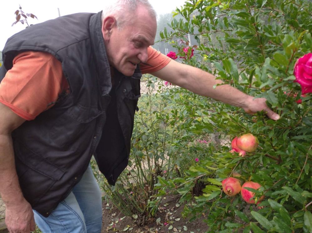 ������, ����� � ���� �� ��������� ���