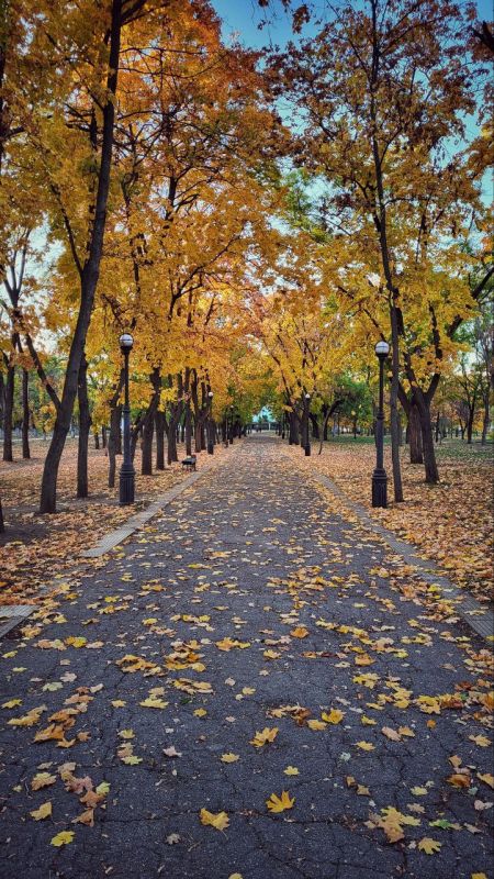 ������� �����. ���������