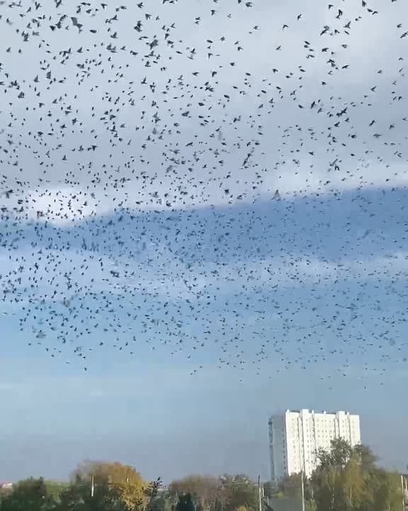 ���� ���� ������ ��� ���������� � ������ ������ � ����