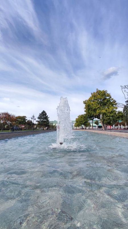 ����� �������� �������?