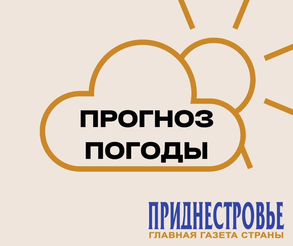 19 ������� ��������� ���������� ����������, ������� ������� ������ �����