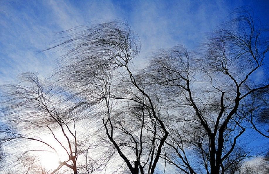 ��������, ��������� ��������������!