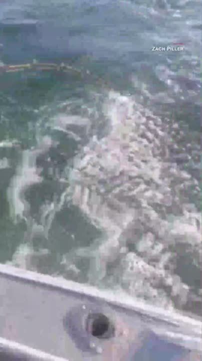 ���� � ����� �������, ��� ��� ������ �������, ���� � ����� �� �������� ���