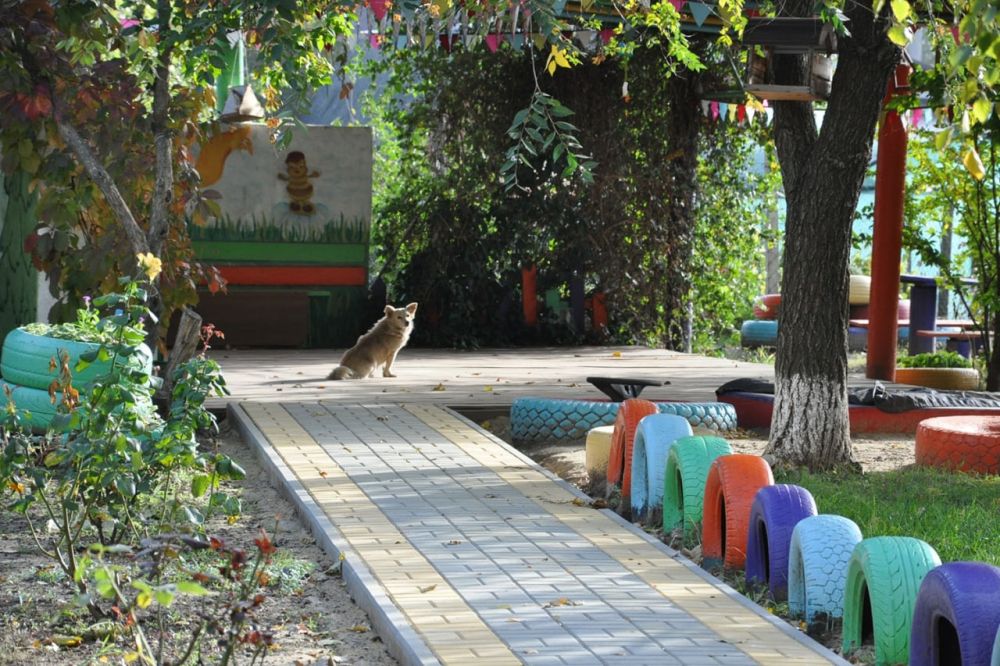 � ����������� ������� "������" ��������������� �������� ����������