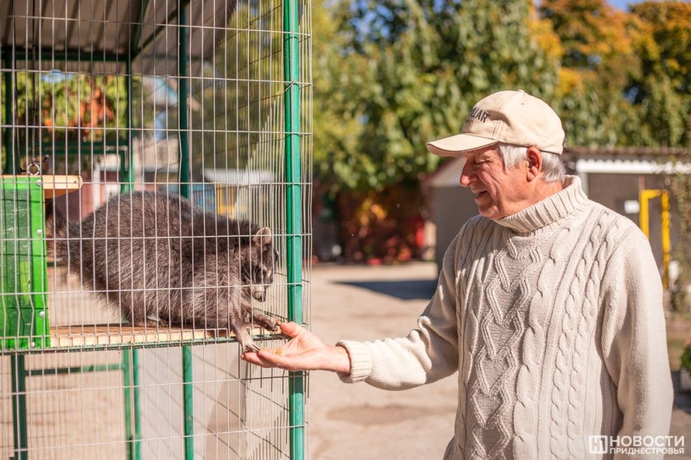 � ����� ������� �������� ������������� 600 ��������!