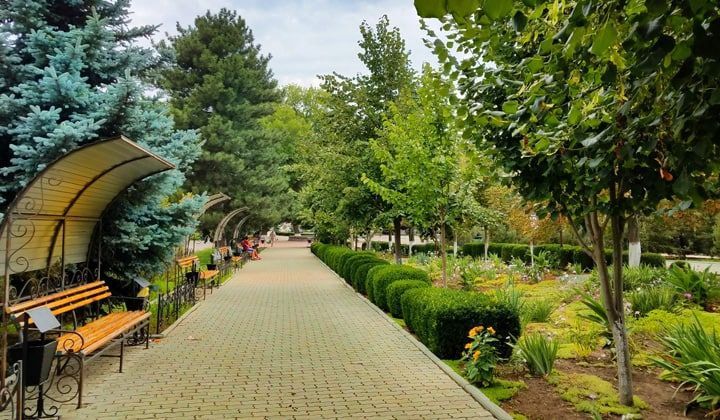 ���� ������ ��������� ������� 27 �������