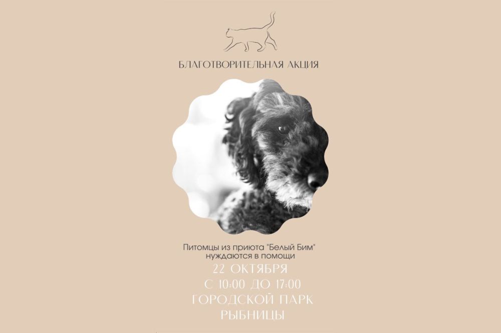 ������ ��������� ��������