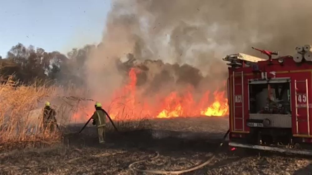 � ������� � ���������� ������ ������������� ����� �� �������� ���������