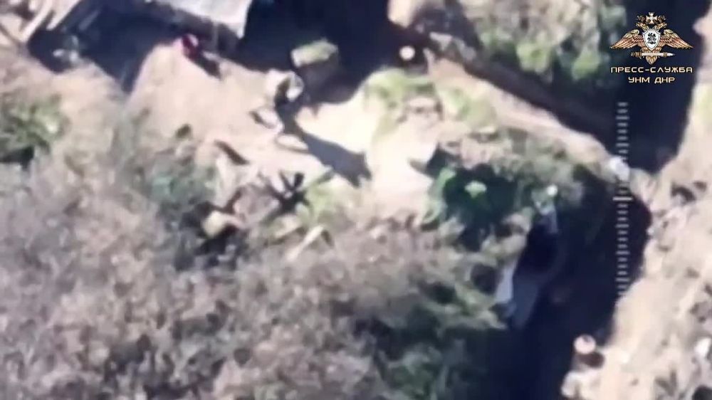 ���������������� ���� ���� ����� ������ ��� ����� �� ��������