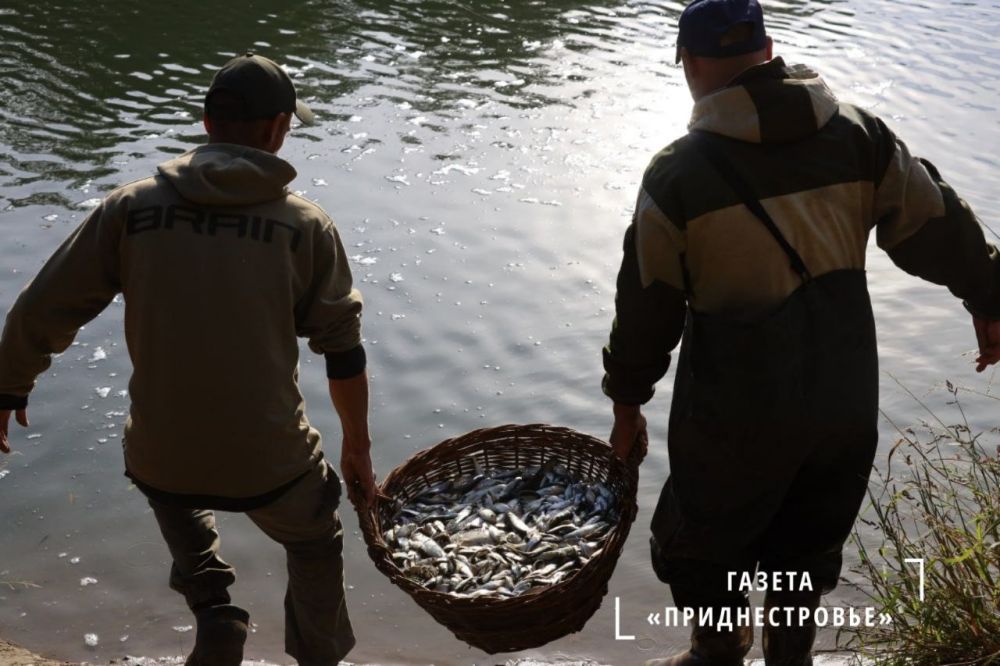 ������� ���������� �����������