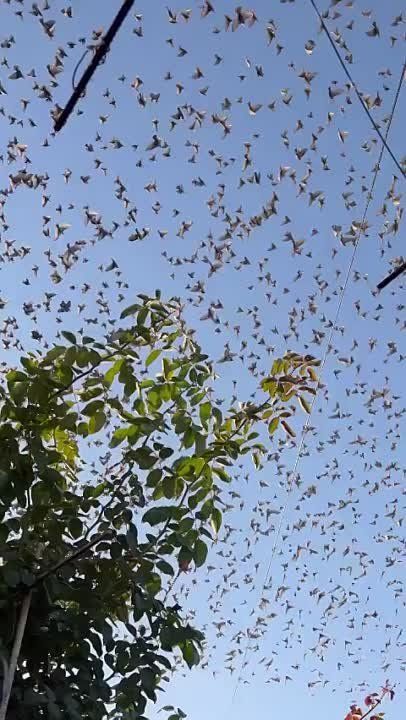 �������� ���� ���� � ���� - ��� � �������