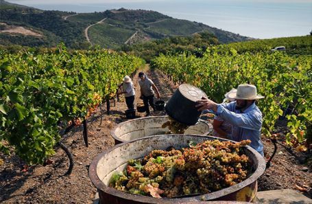 12 ������ � ���������� �������� ������ �������� ����