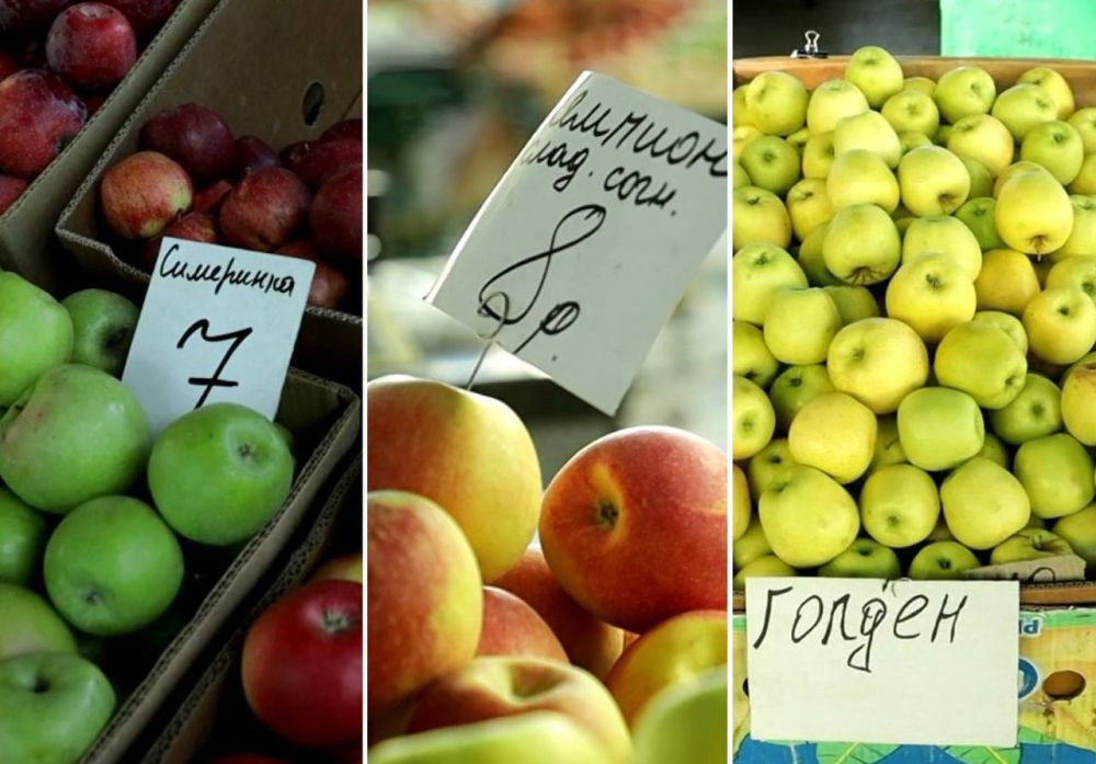 ����� ����� ���� �������� ������