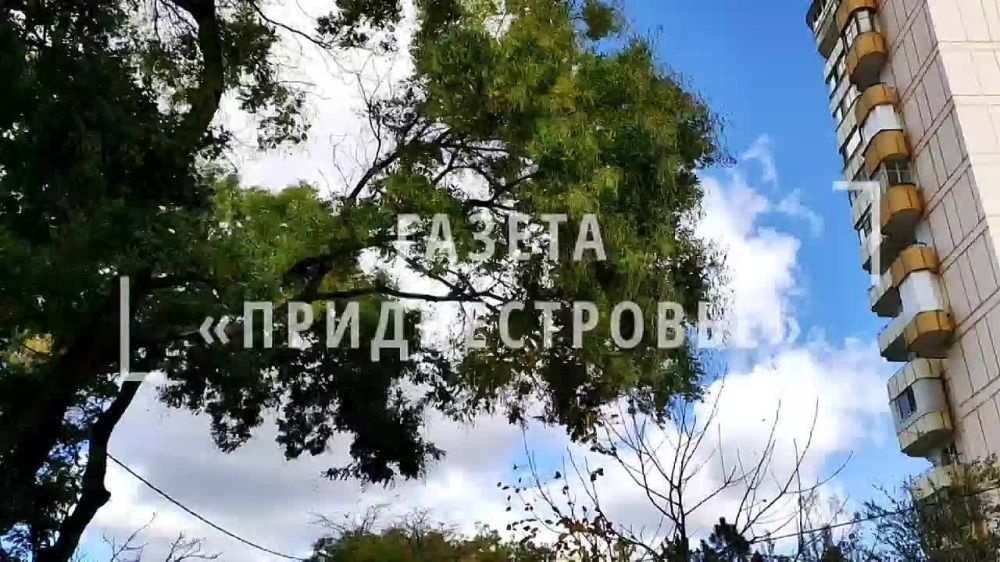 ���������, ������� �����!