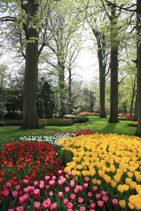 ��� ��� ����� ��������� ���� ��������� � ���������