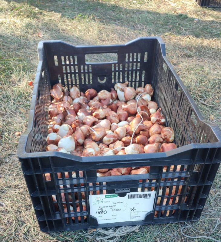 ��� �� �������� ��� ��� ������, � �������� ����������� ������