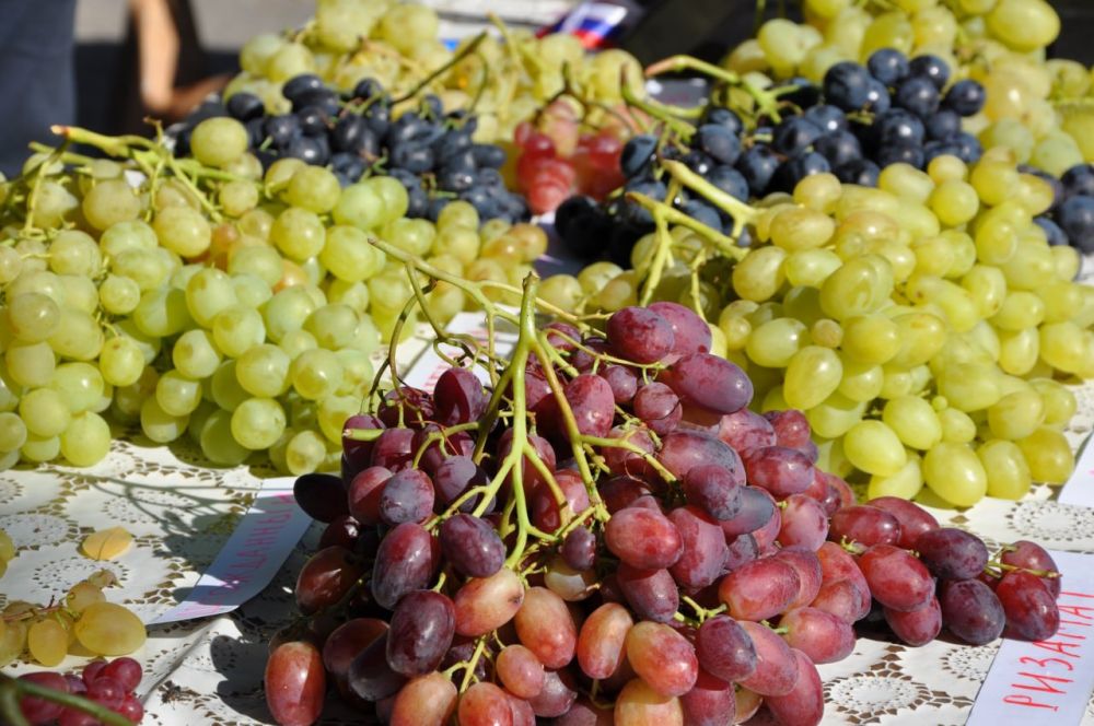 ���� ��������������. ��������, ��������, ��������