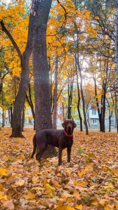 � ����� ��������� �������� ������ �������