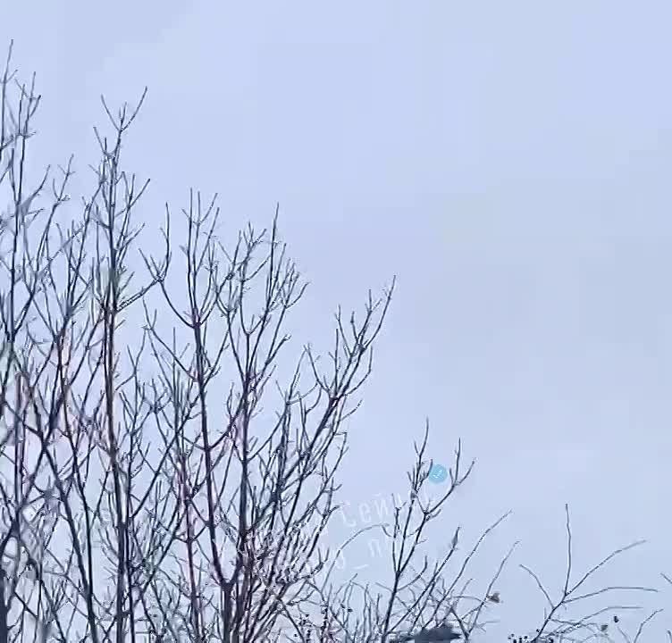 � �������� ������� ���������� ������ ������� ������� ������� ������