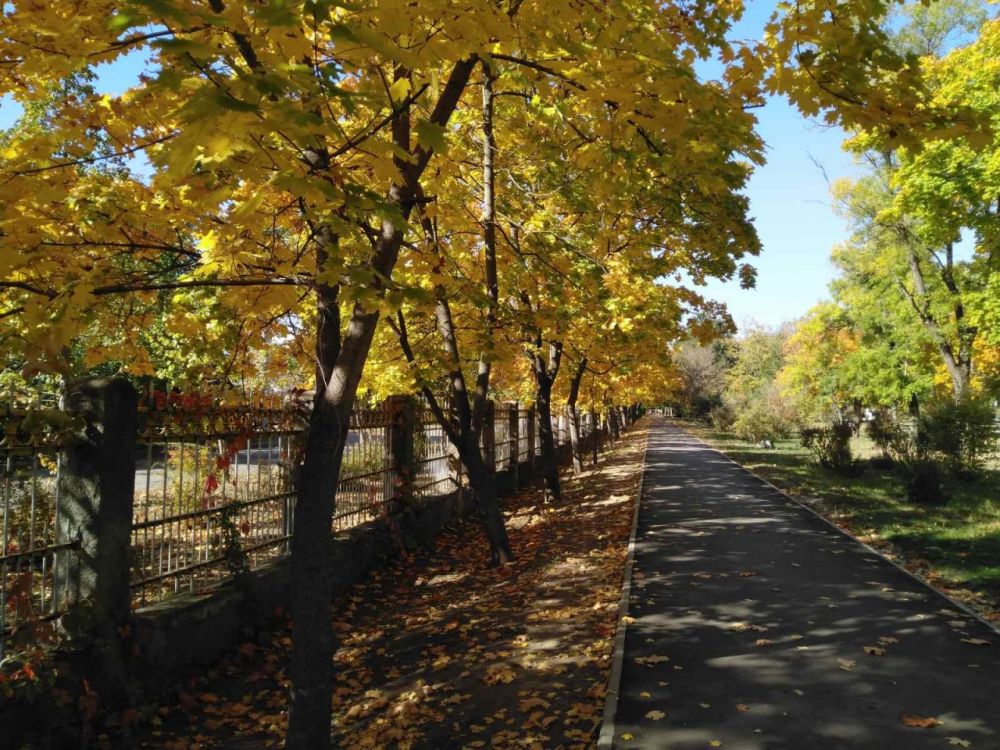 �������� �����.... ����� ������� ���������, �������, 2022 ���