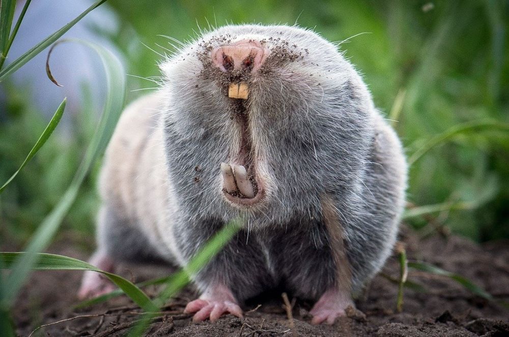 ���� ��� �����, �� �� ����