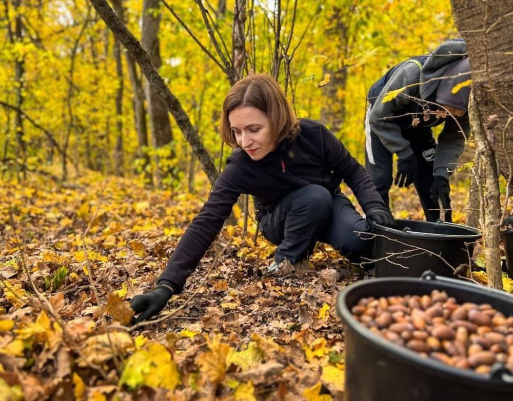 ��������� ������� ���� ����� ����������� � ��� �������� �����, ����� ����� �������� �� � ��������� ����� �������